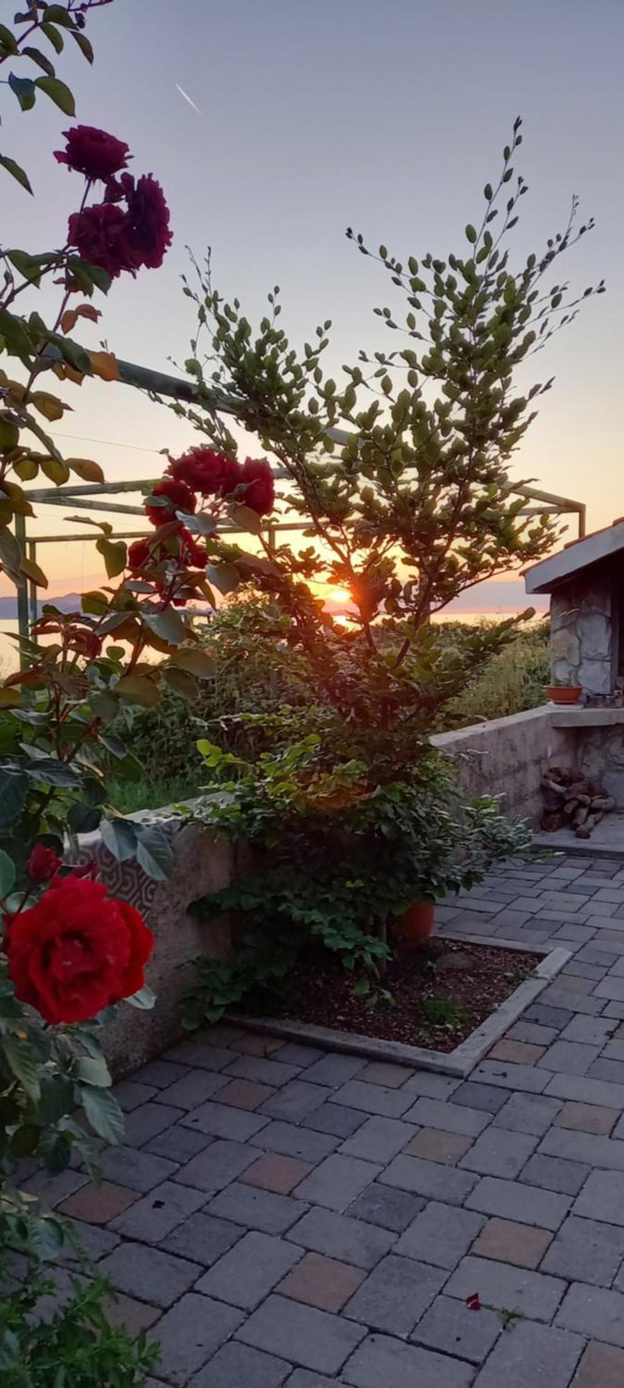 MustapicTanja Apartment Bibinje Bagian luar foto